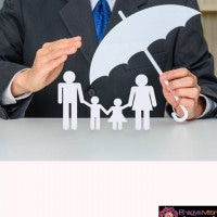 Exclusive Whole Life Report